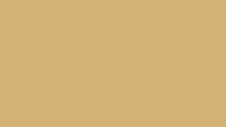 10071 (ARD: % 49,2)