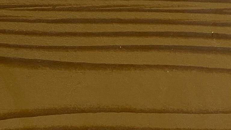 Kestane